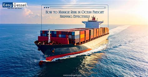 Image result for Types of Containers