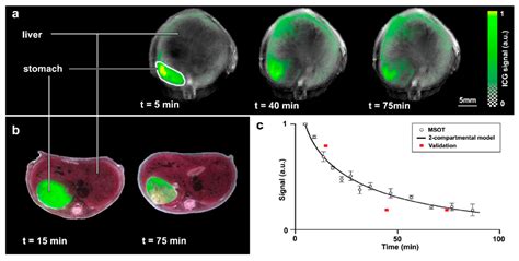 Small Molecule Optoacoustic Contrast Agents: An Unexplored Avenue for ...