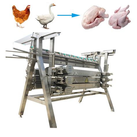 Chicken Processing Machines 的图像结果