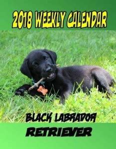 2018 Weekly Calendar Black Labrador Retriever: Buy 2018 Weekly Calendar ...
