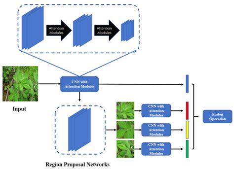 Learning Attention-Aware Interactive Features for Fine-Grained ...