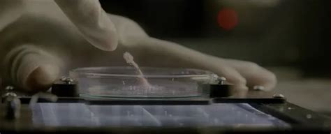 Alien Bacteria 的图像结果