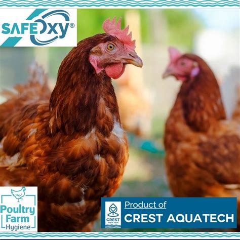 POULTRY DISINFECTANTS AND FEED SUPPLEMENTS - Poultry On bird spray ...