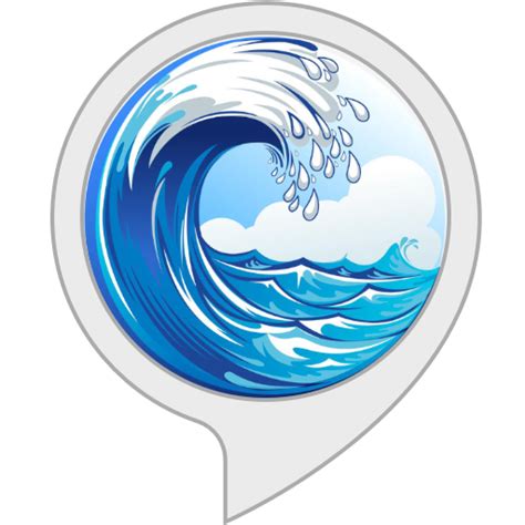 Amazon.in: Ocean Sounds : Alexa Skills