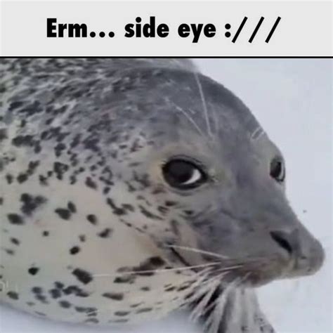 Image result for Repo Side Eye