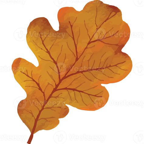 Autumn Leaves Clip art Element Transparent Background 24400607 PNG