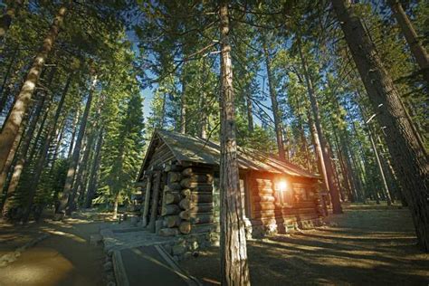 树林里的房屋图片-老森林小木屋素材-高清图片-摄影照片-寻图免费打包下载