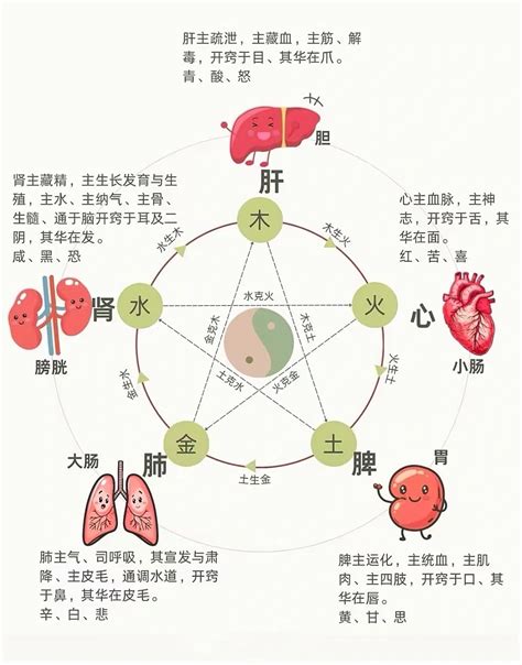Wuxing Felsefesi (Beş Element) 2026