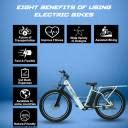 SS Bikes CargoX Heavy Duty Electric Cycle | 100 km Range | 36V/10Ah ...