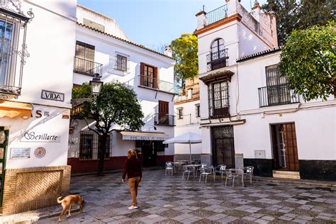 Santa Cruz, el barrio de Sevilla que condensa más historia y belleza ...