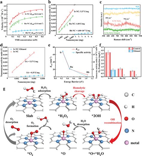 H2O2 H2O2 Reaction Type 的图像结果