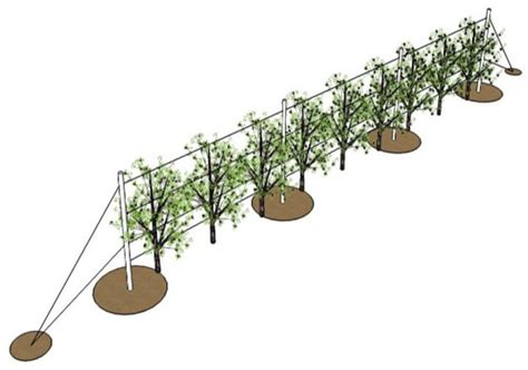Experiments and Design of an Anti-Disaster Support System for Apple ...