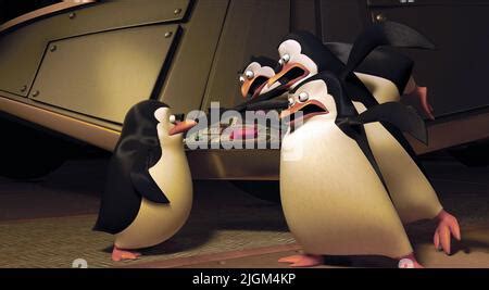 PRIVATE,RICO,SKIPPER,KOWALSKI, PENGUINS OF MADAGASCAR, 2014 Stock Photo ...