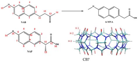 Host–Guest Interactions of Cucurbit[7]uril with Nabumetone and Naproxen ...