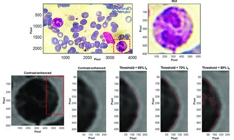 Image result for Image Processing Threshold