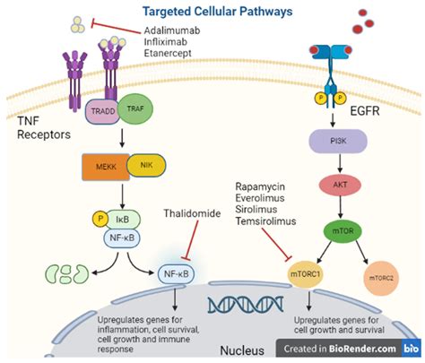 Association between Immunosuppressive Therapy Utilized in the Treatment of Autoimmune Disease or ...