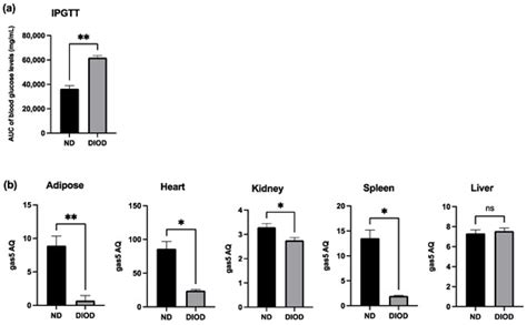 NPC86 Increases LncRNA Gas5 In Vivo to Improve Insulin Sensitivity and ...