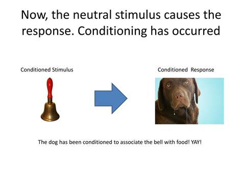 Condition Stimuli Examples