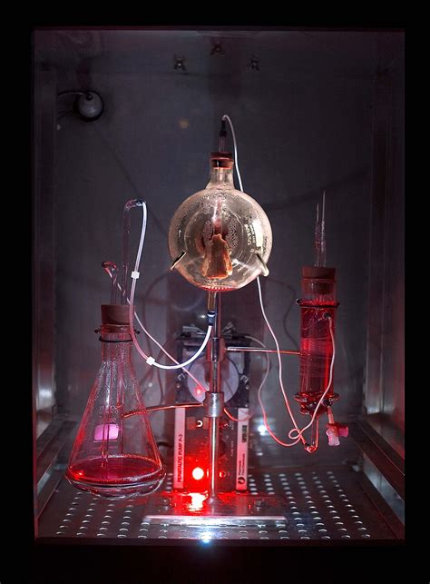 Biotechnology Art Projects 的图像结果