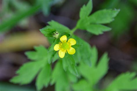 Image result for Test Spring Squareness