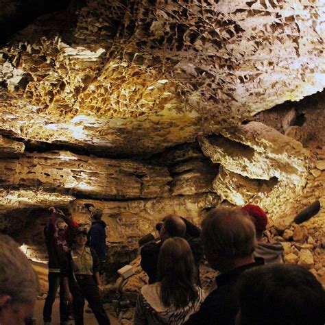 Image result for Wind Cave EFT Machine