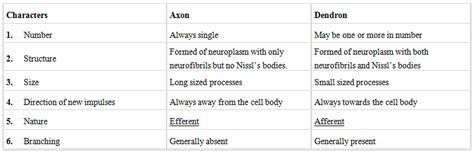Revision Notes: Structural Organization in Animals - NCERT Exemplar and ...