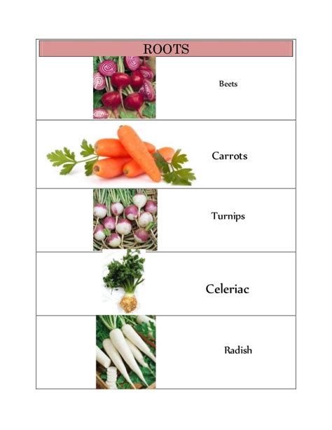 Vegetable Classification 的图像结果