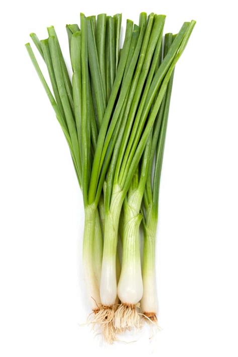 Green Onions Calories Raw at Felipe Heidt blog