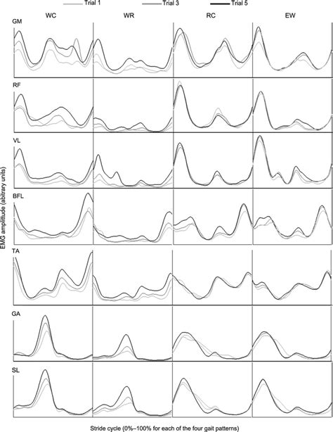 Image result for Muscle Activity EMG