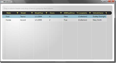 Image result for RadGridView WPF Tutorial