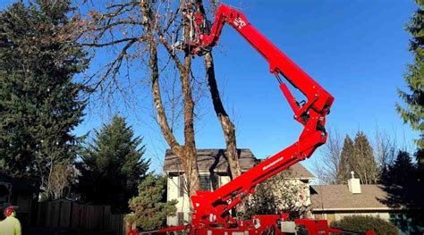 Image result for Tree Removing Machine