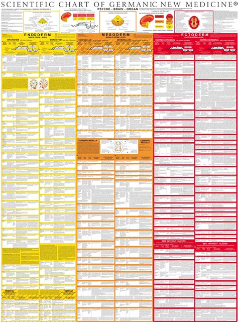 Scientific Chart of Germanic New Medicine + Special gift: The booklet ...