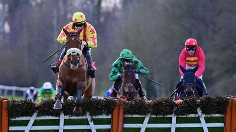 Cheltenham Festival: Royal Kahala out for season after finishing lame ...