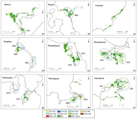 Spatio-Temporal Simulation of Mangrove Forests under Different ...