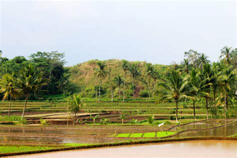 Mar Jaava Picture Mar Java 的图像结果