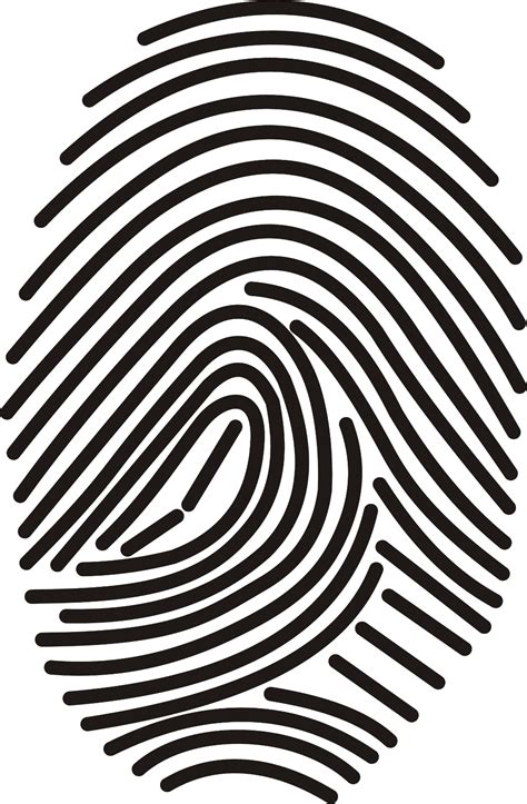 Fingerprint PNG transparent image download, size: 1079x1648px