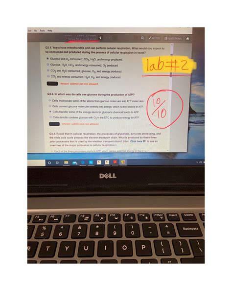 Lab 2 # 1 - BIOLOGY 1000 SIMUTEXT LAB 2 Graded question 1-2 - BIOL1000 ...