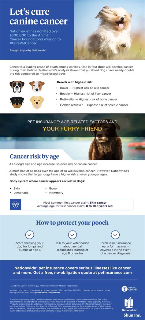 Pet Insurance: Age-Related Factors And Your Furry Friend | ShunIns