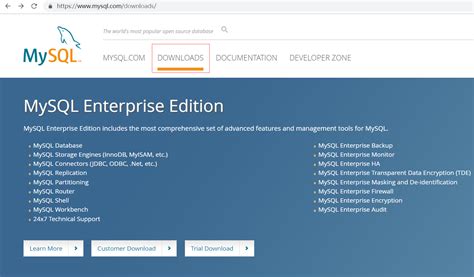 DBMS MySQL Download 的图像结果