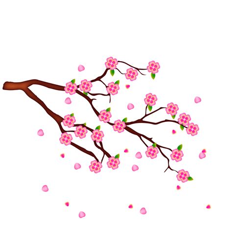 Image result for Spring Texture PNG