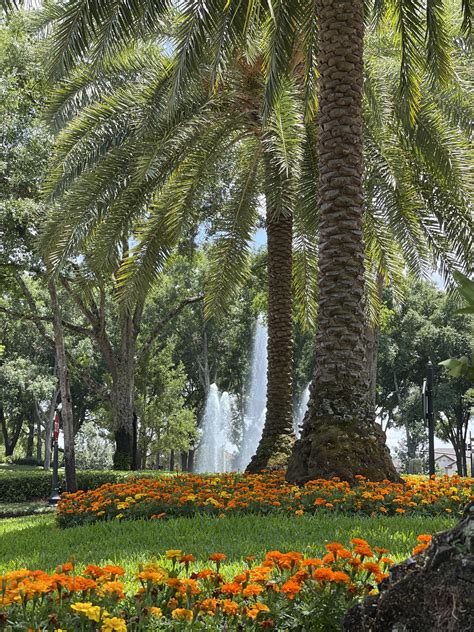 Heathrow Master Association - United Land Services