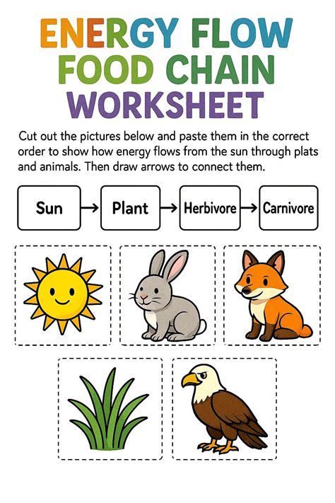 Energy in Food 的图像结果