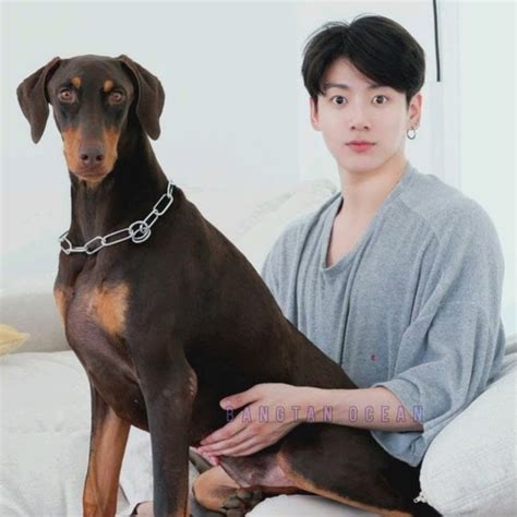 baby bam has grown up🥺💜 #bts #bam #jeonbam #jk - YouTube