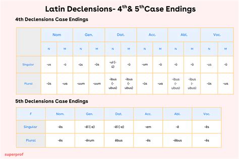 Latin Declensions Explained: Our Top Memorisation Tips