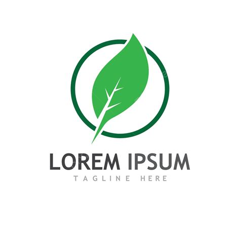 Image result for Spring Leaf Logo Java