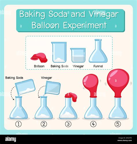 Baking Soda Vinegar Balloon Experiment Explanation at Marjorie Clouse blog