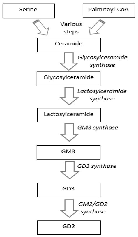 Mechanisms, Characteristics, and Treatment of Neuropathic Pain and ...