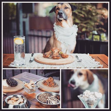 9 Best Dog-Friendly Restaurants in Asheville, NC | Rover.com | Dog ...