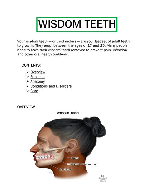Wisdom Teeth Function 的图像结果