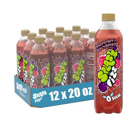 Splash Fizz™ Raspberry Blackberry Flavor Sparkling Water Beverage 20 Fl ...